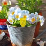 Operitacx 4pcs Rain Gauge Outdoor, Plastic Rain Gauges for Yard with Stake, Easy to Read Water Gauge for Rain Garden Lawn