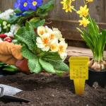 Operitacx 4pcs Rain Gauge Outdoor, Plastic Rain Gauges for Yard with Stake, Easy to Read Water Gauge for Rain Garden Lawn