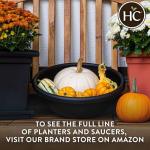 The HC Companies 15.5 Inch Garden Bowl Planter - Shallow Plant Pot with Drainage Plug for Indoor Outdoor Flowers, Herbs, Black