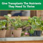 Miracle-Gro Quick Start Planting & Transplant Starting Solution 48 fl. oz