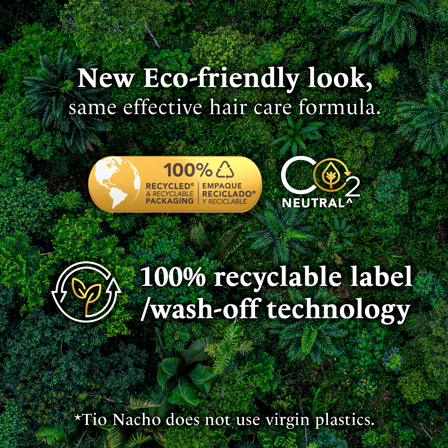 Coconut Oil Shampoo for Dry Hair, 14 Fl Oz