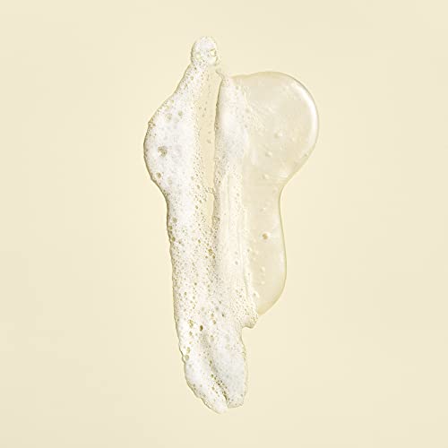 Oribe Gold Lust Shampoo & Conditioner Travel Set