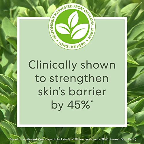 bareMinerals Skinlongevity Face Serum with Niacinamide, Anti-aging