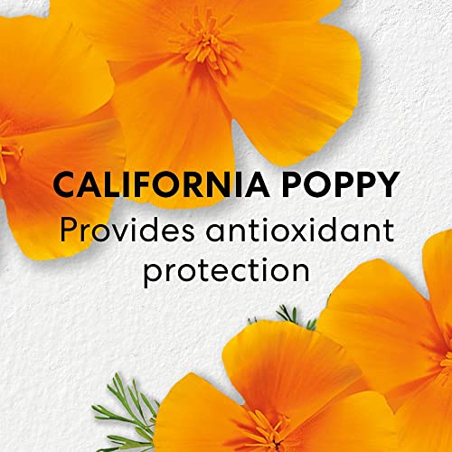 bareMinerals Skinlongevity Face Serum with Niacinamide, Anti-aging