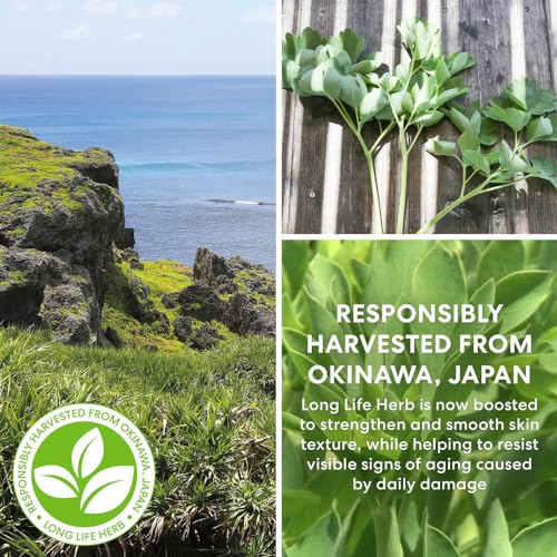 bareMinerals Skinlongevity Face Serum with Niacinamide, Anti-aging