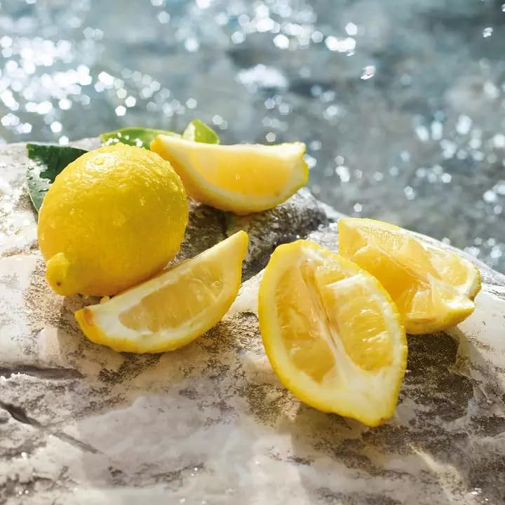 D&G Light Blue Eau De Toilette Spray - 50ml