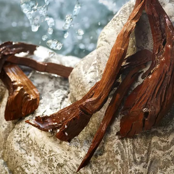 D&G Light Blue Eau De Toilette Spray - 50ml