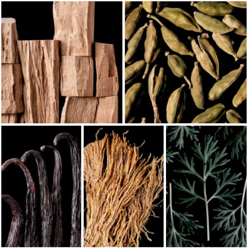 Antonio Banderas Secret Temptation Eau de Toilette