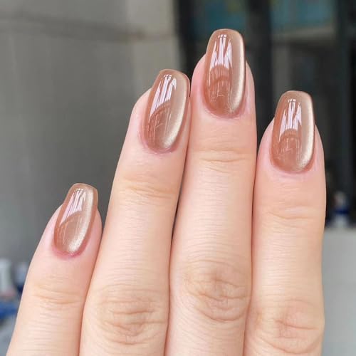 Luxury Cat-eye Gel Acrylic False Nail Kit