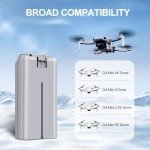 PoweLyt Mini 2 Series 2400mAh Drone Battery