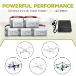 BLLRC 5-Pack 400mAh Lithium Battery & Charger