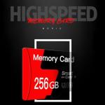 256GB Micro SD Card With Adapter - 2-Pack