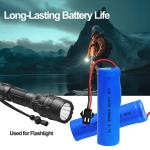 800mAh Li-ion Battery Pack with USB Charger