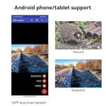 Radiolink 5.8G Wireless Image Receiver for FPV