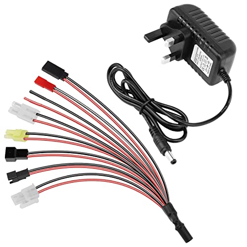 8-in-1 RC Battery Charger for Drones
