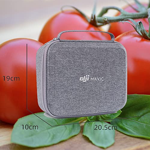 Compact Drone Case for DJI Mini 2