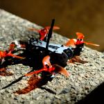 Emax Tinyhawk II Freestyle Racing Drone Kit