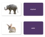 Nouns Flash Cards: 200 Modern Language Photo Cards | Vocabulary Builder | Toddler Flash Cards for Speech Therapy | Preschool Learning Activities | ESL Teaching Materials | Autism Learning Materials