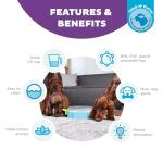 Outward Hound Nina Ottosson Paw N' Play Interactive Dog Treat Puzzle, Level 2 Intermediate Dog Enrichment Dog Toy, Blue, Small