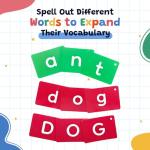 SmarLearnio Alphabet Flash Cards,ABC Letter Flash Cards for Toddlers Ages 2 3 4 5 Years Old,Educational Reading Phonics Flashcards Preschool Kindergarten Classroom Learning Activities,Speech Therapy