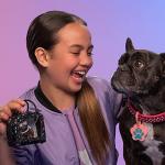 Real Littles - 3 Collectible Micro Puppy Carriers with 3 Micro Puppies and 15 Micro Working Surprises Inside!