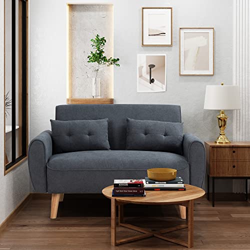 Small Modern Loveseat Couch Sofa with 2 Pillows