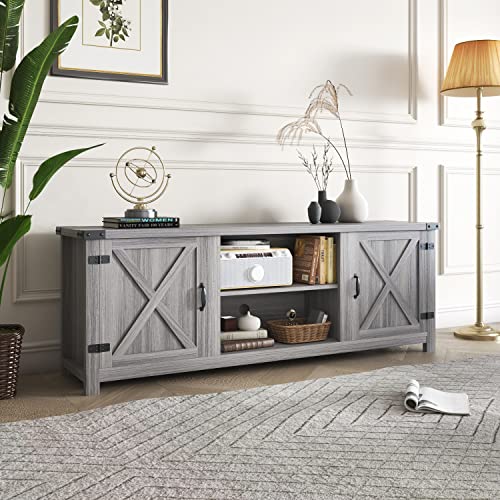 Modern Farmhouse TV Stand with Two Barn Doors, Storage