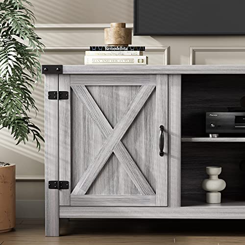 Modern Farmhouse TV Stand with Two Barn Doors, Storage