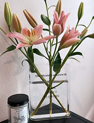 Cute Bookend Vase for Flowers - Unique Home Decor
