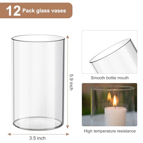 12Pcs Glass Cylinder Vases for Elegant Home Decor