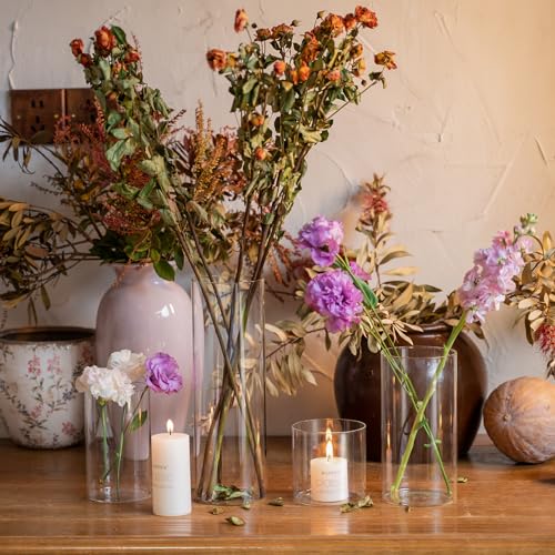 12Pcs Glass Cylinder Vases for Elegant Home Decor
