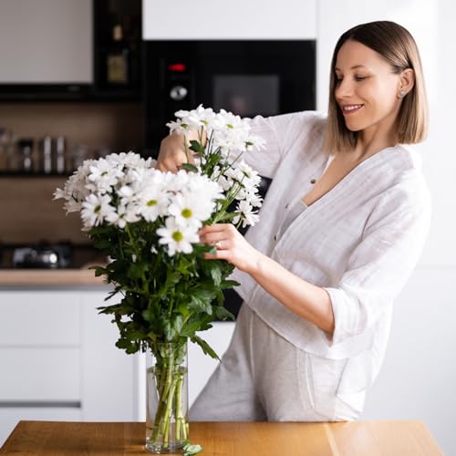 12Pcs Glass Cylinder Vases for Elegant Home Decor