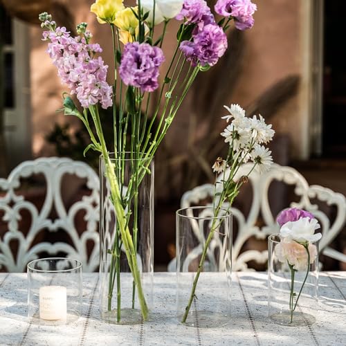 12Pcs Glass Cylinder Vases for Elegant Home Decor
