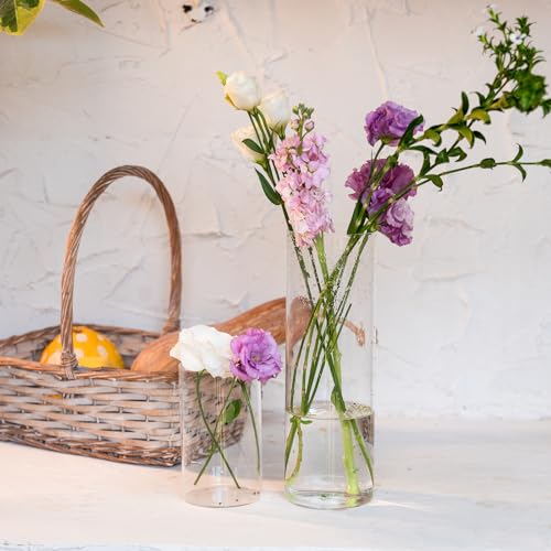 12Pcs Glass Cylinder Vases for Elegant Home Decor