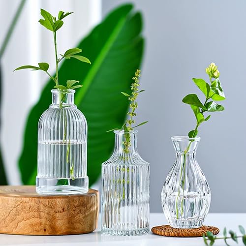 32 Vintage Glass Bottles for Rustic Home Decor