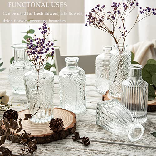 Set of 25 Vintage Glass Bud Vases for Home
