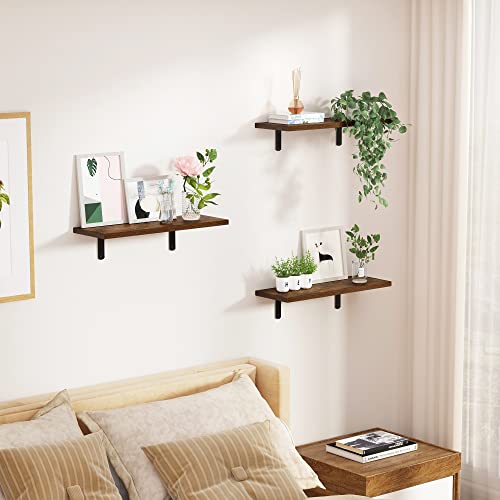 Set of 5 Dark Brown Floating Wall Shelves