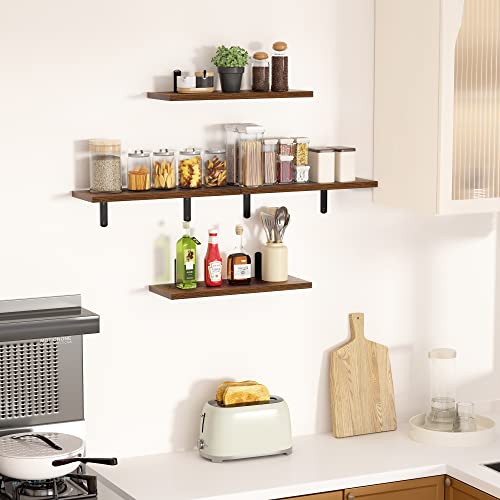 Set of 5 Dark Brown Floating Wall Shelves