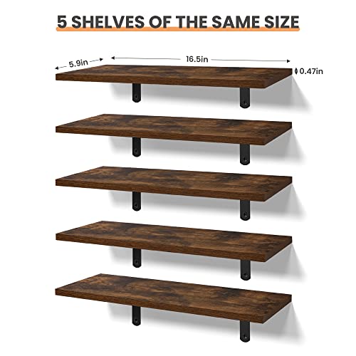 Set of 5 Dark Brown Floating Wall Shelves