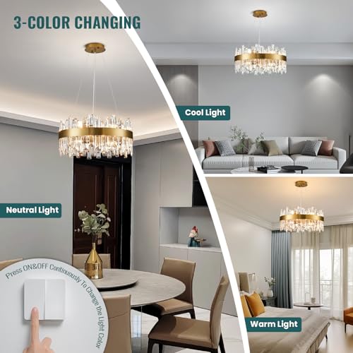 Modern 12-Light Crystal Chandelier, Brass Gold Finish, D19.7
