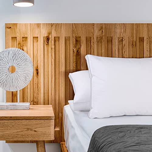 Luxury Cooling Queen Size Bed Pillows Set
