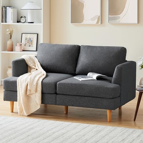 Mid Century Modern Small Loveseat Couch, Dark Grey