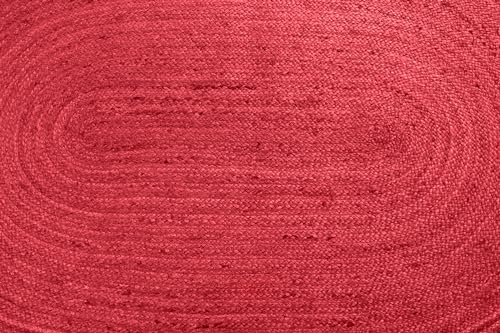 CASAVANI Oval 12x18 Braided Jute Area Rug