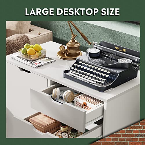 5-Drawer Wood Chest with Door for Home Office