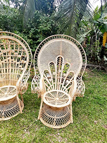 Gold Rattan Peacock Chair for Stylish Interiors