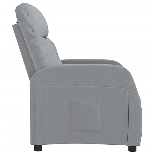 Light Gray Reclining Chair with Adjustable Headrest