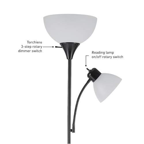 Matte Black Floor Lamp with Adjustable Reading Light
