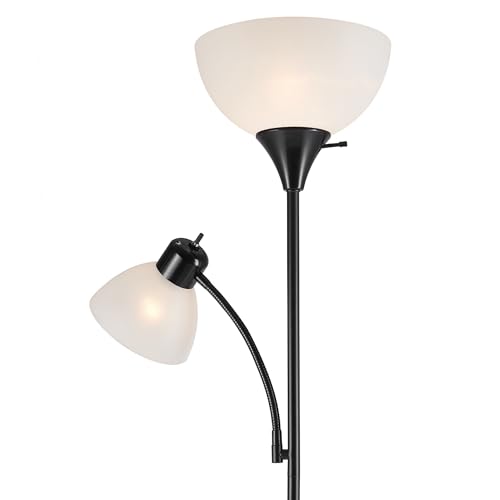 Matte Black Floor Lamp with Adjustable Reading Light