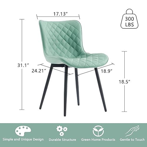 Modern Light Green Dining Chairs Set of 2