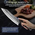 8.2-Inch Japanese Kiritsuke Knife with Damascus Steel